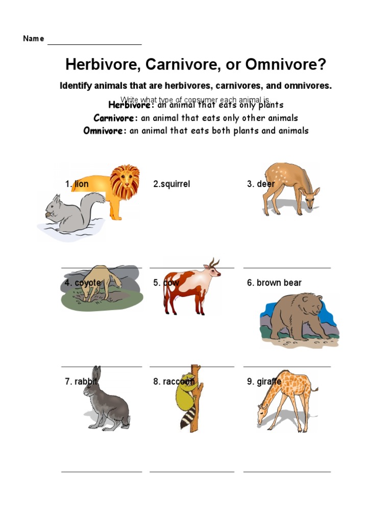 Herbivore, Carnivore, or Omnivore? 1. lion 2.squirrel 3. deer