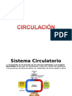 CIRCULACIÓN