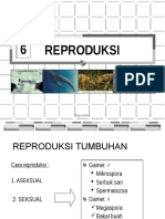 Reproduksi