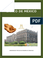 Banco de Mexico Ensayo