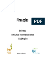 Pineapple Brochure Presentation