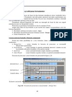 Formulare Si Rapoarte Access PDF
