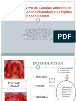 Adherencia in Vitro de Candida Albicans 