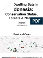 Seabcru Cave Bats Indonesia Country Summary