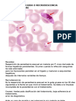 Toxosplasmosis Clase