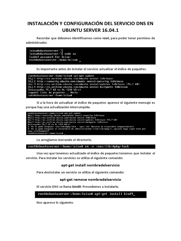 Configuración de DNS en Ubuntu Server | PDF | Hogar, jardinería y ...