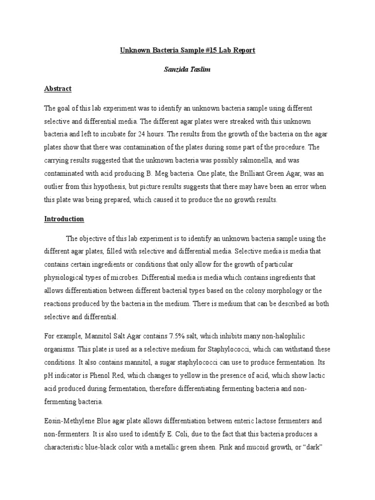 Unknown Bacteria Identification Report | PDF | Growth Medium | Prokaryote