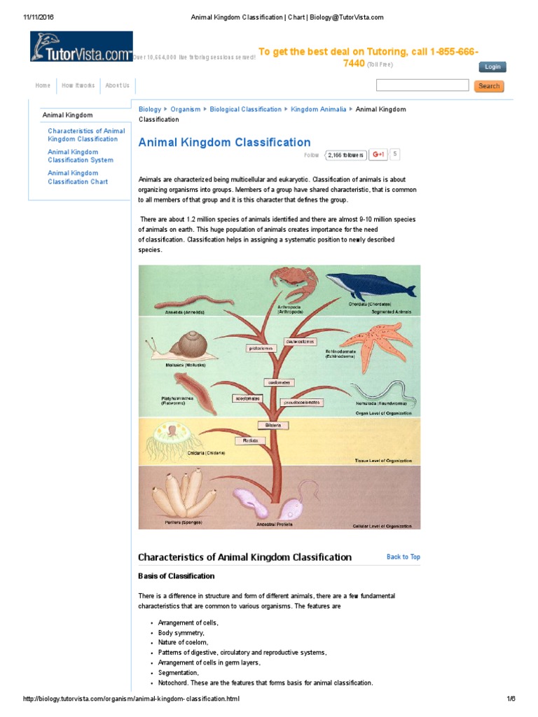 ANIMAL KINGDOM CLASSIFICATION CHART WITH EXAMPLES PDF intelligence overview