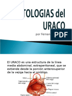 Patologias Del Uraco