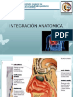 Integración Anatomica
