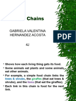 Food Chains: Gabriela Valentina Hernandez Acosta 4J