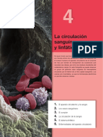 circulacion .pdf