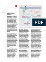 Carter ME 2007 PDF