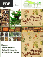 plantasmedicinais-130728135816-phpapp02