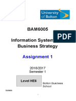 BAM6005 Assignment 1
