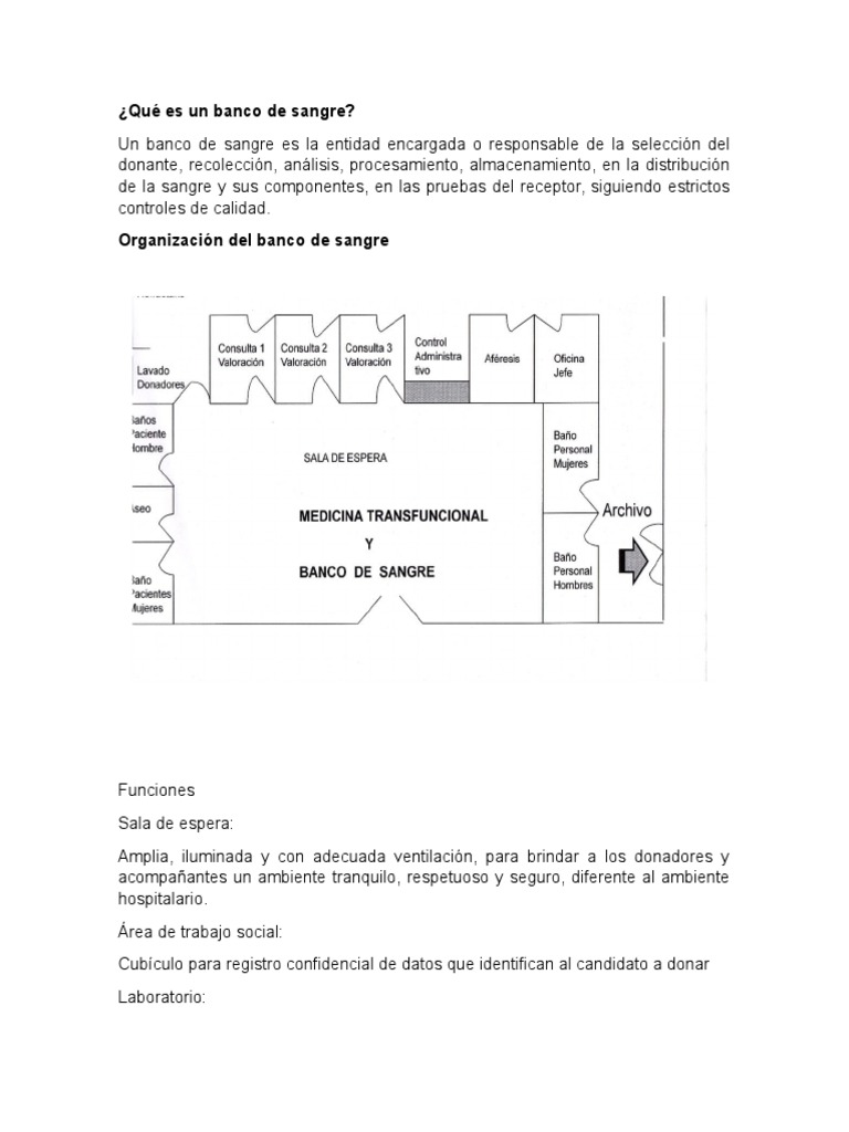 Funciones y Organización de un Banco de Sangre | PDF | Tipo de sangre ...