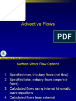 Advective Flows