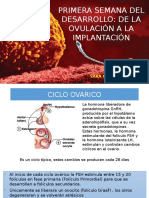 PRIMERA-SEMANA.pptx