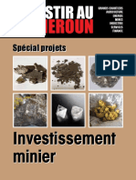Investir Au Cameroun PDF