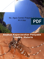 Askep Malaria