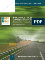 BIOCOMBUSTIBLES.pdf