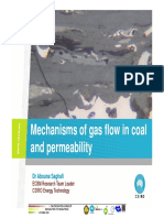 03.Mechanisms of Gas Flow in Coal