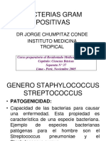 Bacterias Gram Positivas Sin Imagenes