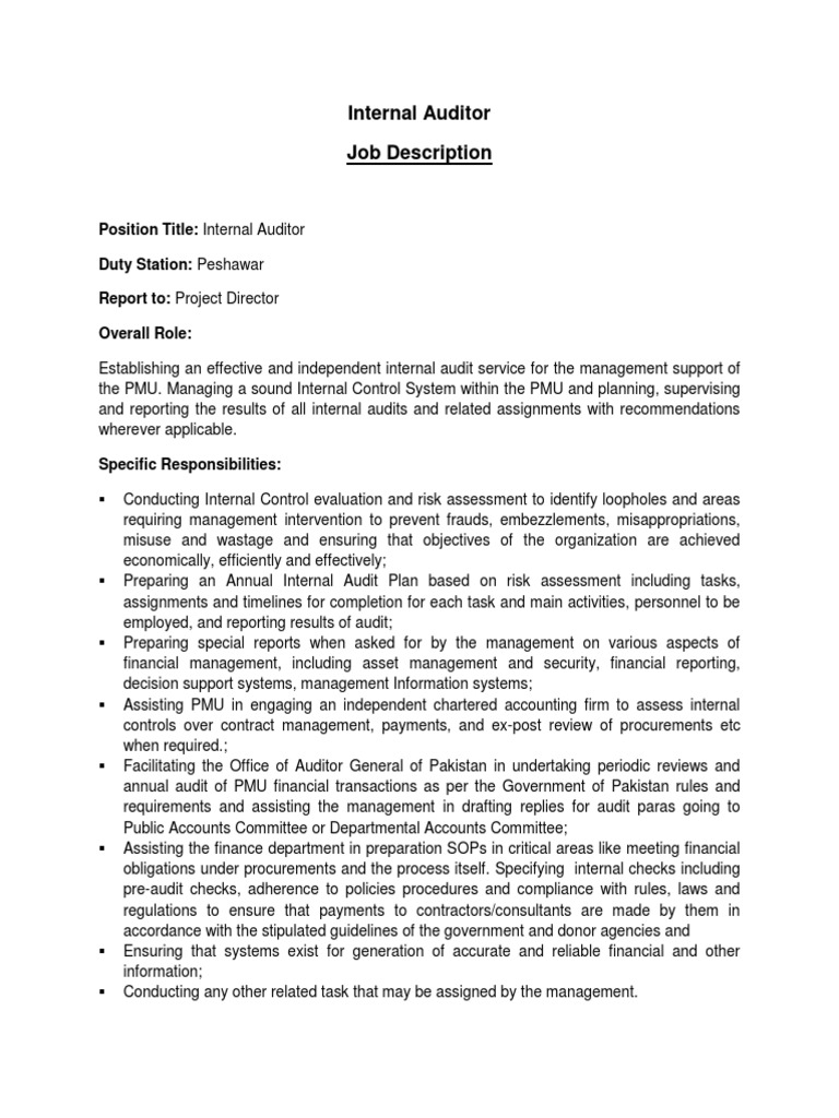 INTERNAL AUDITOR DAILY DUTIES visual data 2