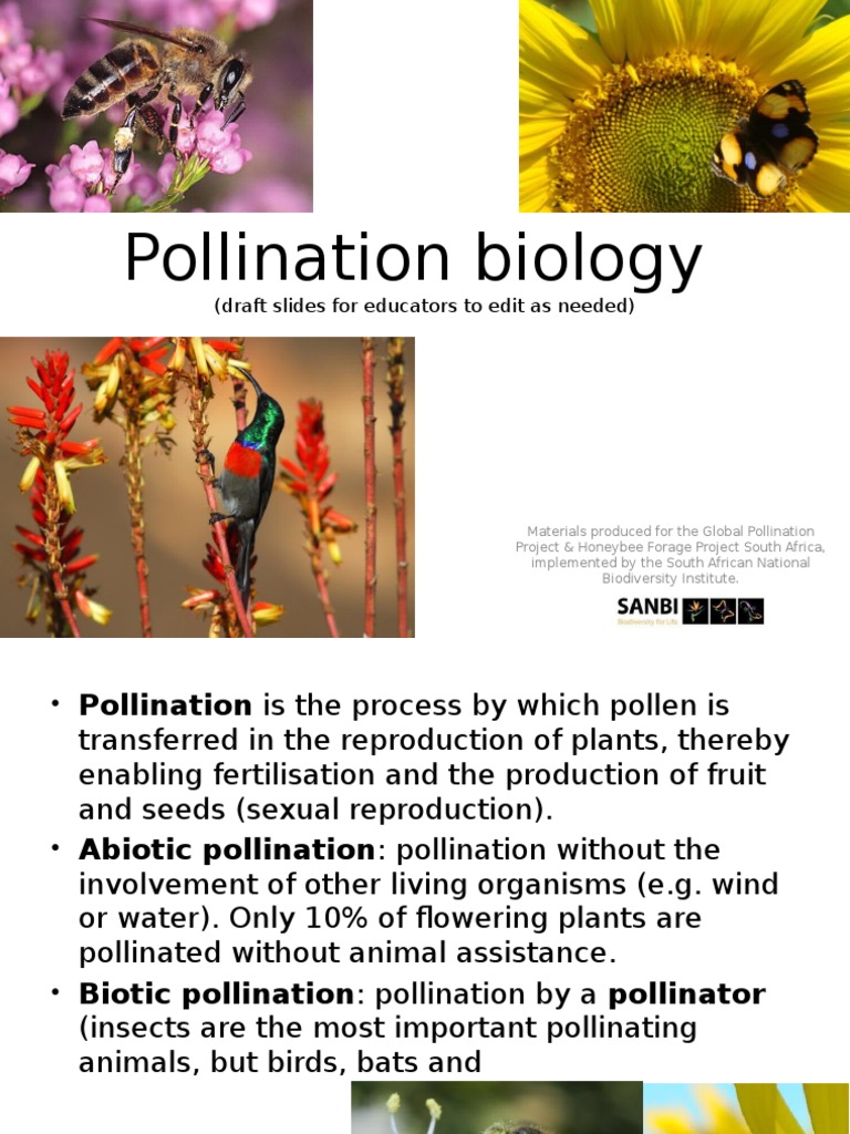 Pollination Biology From Internet | PDF | Pollination | Honey Bee