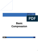 Ariel Basic Compression 3-13