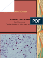 Clostridium Botulinum: Lab. Mikrobiologi Fakultas Kedokteran Universitas Hang Tuah