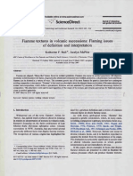 Fiamme Textures in Volcanic Successions