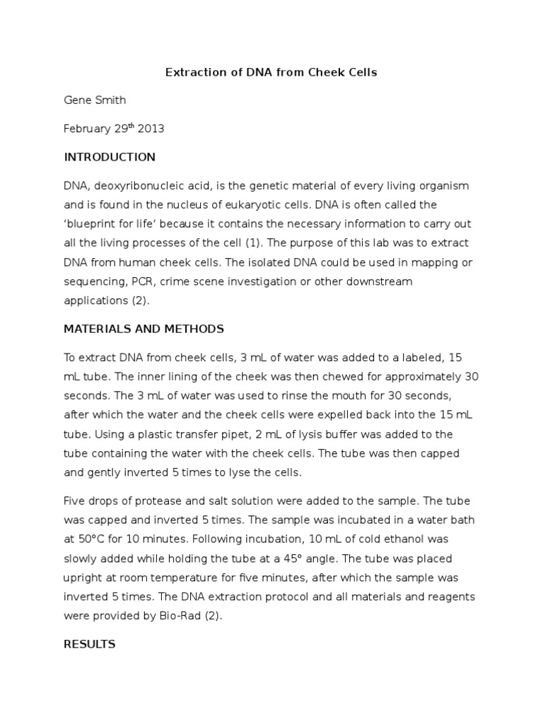 Sample Lab Report - DNA Extraction From Cheek Cells | Lysis | Dna