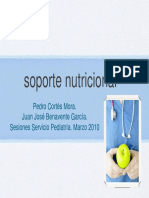 Soporte Nutricional PDF