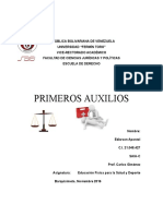 Ensayo Primeros Auxilios - Ediwson Apostol