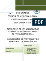 Biosíntesis de Los Aminoácidos No Esenciales Desde El Punto de Vista Nutricional Catabolismo de Proteínas y de Nitrógeno de Aminoácidos