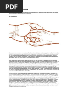 Armando Boito. a Natureza Da Crise Política