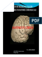 medecine-anatomie_du_cerveau.pdf