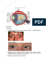 BU Iis PemFis Mata