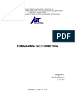 Informe Socio Critica