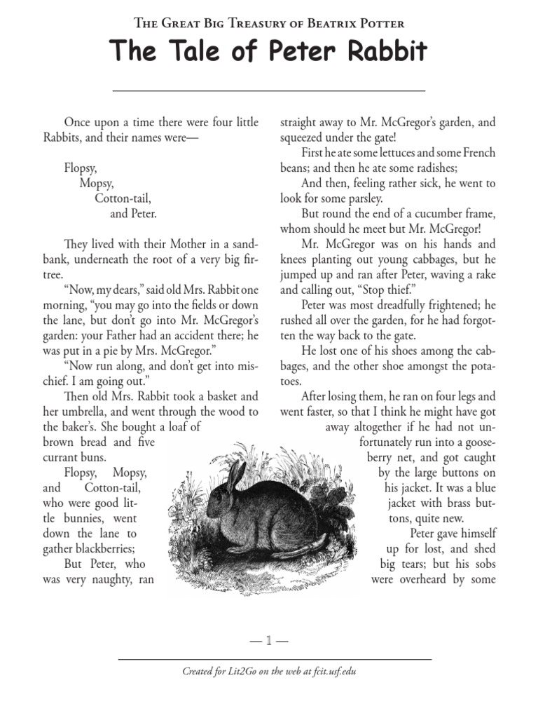 The Tale of Peter Rabbit Summary | PDF | Mr. Mc Gregor | Peter Rabbit