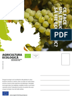 productcards_grapes_ro.pdf
