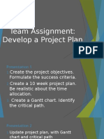 Team Assignment: Develop A Project Plan