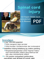 Spinal cord injury (2).pptx