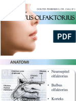 Referat Nervus Olfaktorius