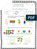 Test de Evaluare Mem