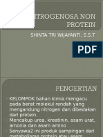 Nitrogenosa Non Protein Baru