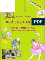 220693780-BrataraDeAur-OSutaDeProfesiiExplicatePtCopii.pdf