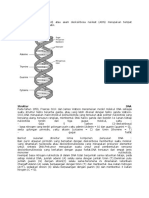 DNA (Web - Unair.ac - Id) PDF