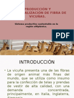 Producción y Comercialización de Fibra de Vicuñas